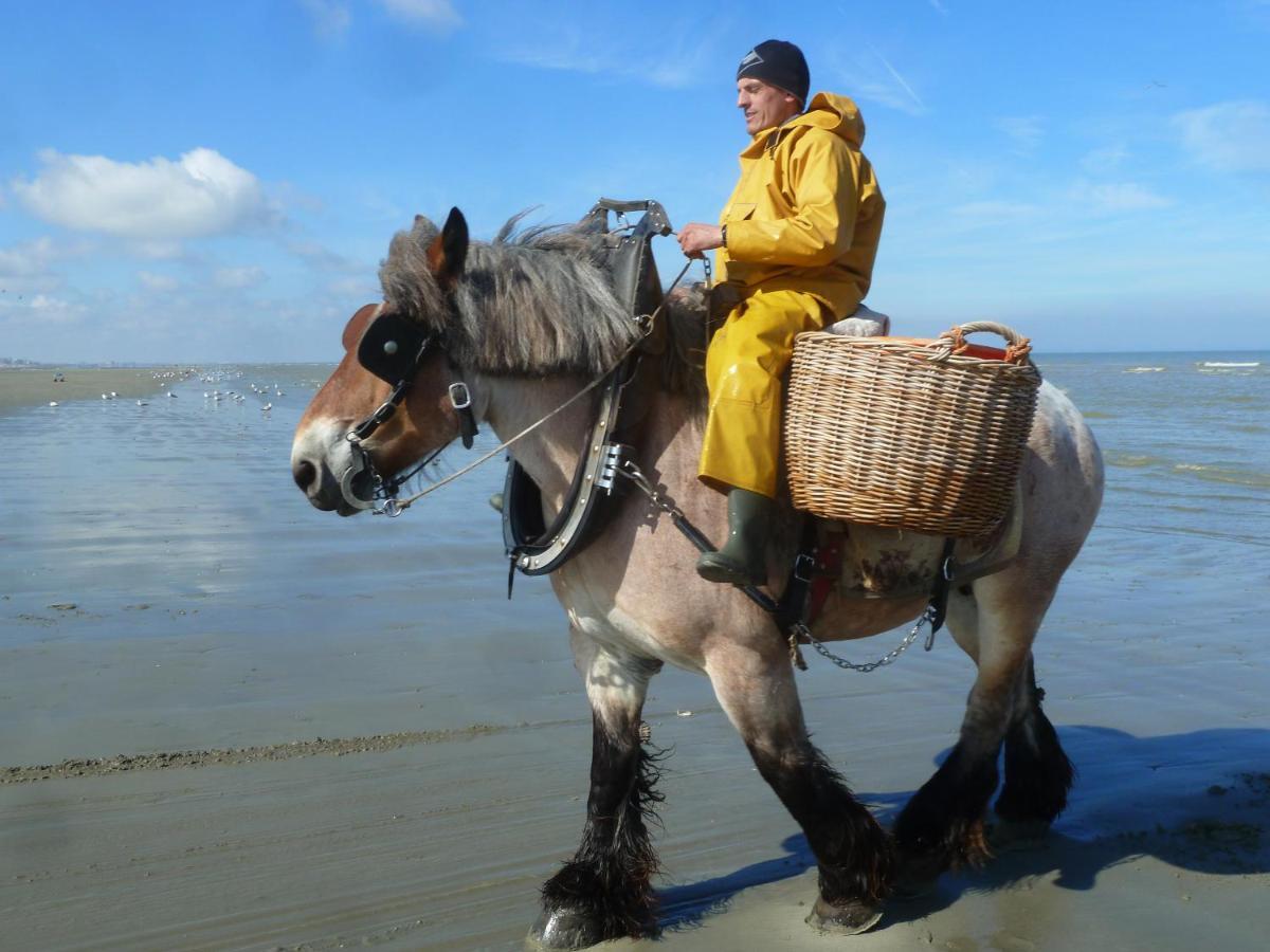 Holiday Home Garnaalhuisje Oostduinkerke Zewnętrze zdjęcie